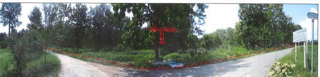 ที่ดินเปล่าหลุดจำนอง ธ.ธนาคารกรุงไทย พิษณุโลก นครไทย นครไทย