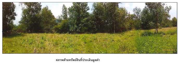 ที่ดินเปล่าหลุดจำนอง ธ.ธนาคารกรุงไทย สงขลา หาดใหญ่ ควนลัง