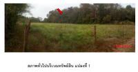 ที่ดินเปล่าหลุดจำนอง ธ.ธนาคารกรุงไทย ปราจีนบุรี อำเภอกบินทร์บุรี ตำบลเมืองเก่า