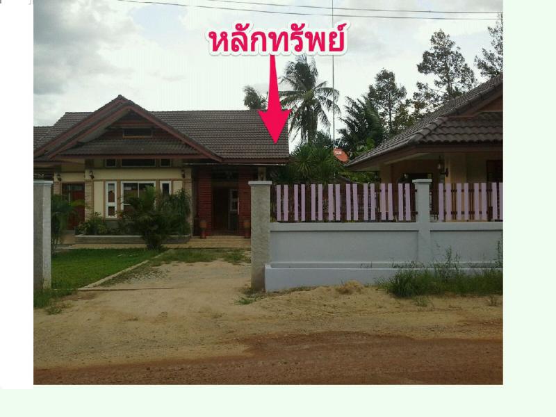 ที่ดินพร้อมสิ่งปลูกสร้างหลุดจำนอง ธ.ธนาคารกรุงไทย ชุมพร เมืองชุมพร หาดพันไกร