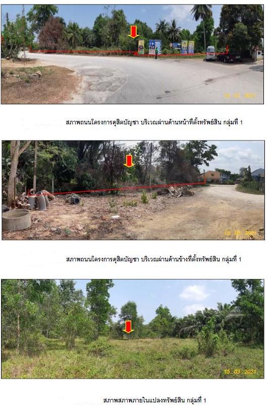 ที่ดินเปล่าหลุดจำนอง ธ.ธนาคารกรุงไทย ชุมพร เมืองชุมพร ขุนกระทิง