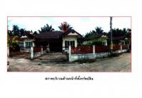 ที่ดินพร้อมสิ่งปลูกสร้างหลุดจำนอง ธ.ธนาคารออมสิน ชุมพร เมืองชุมพร วังไผ่