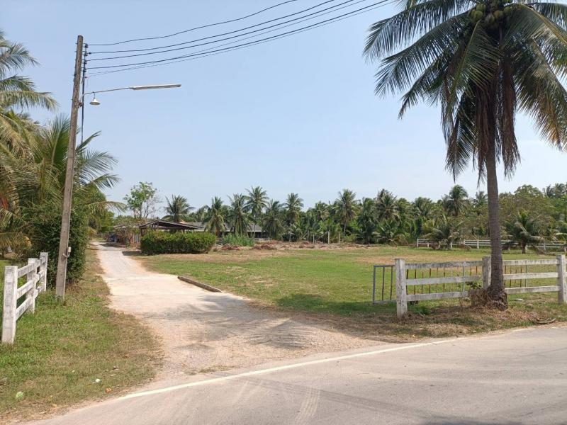 ที่ดินพร้อมสิ่งปลูกสร้างหลุดจำนอง ธ.ธนาคารออมสิน เพชรบุรี บ้านแหลม บางครก