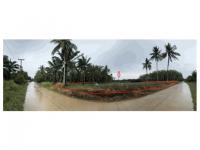 ที่ดินหลุดจำนอง ธ.ธนาคารออมสิน ประจวบคีรีขันธ์ บางสะพานน้อย ทรายทอง