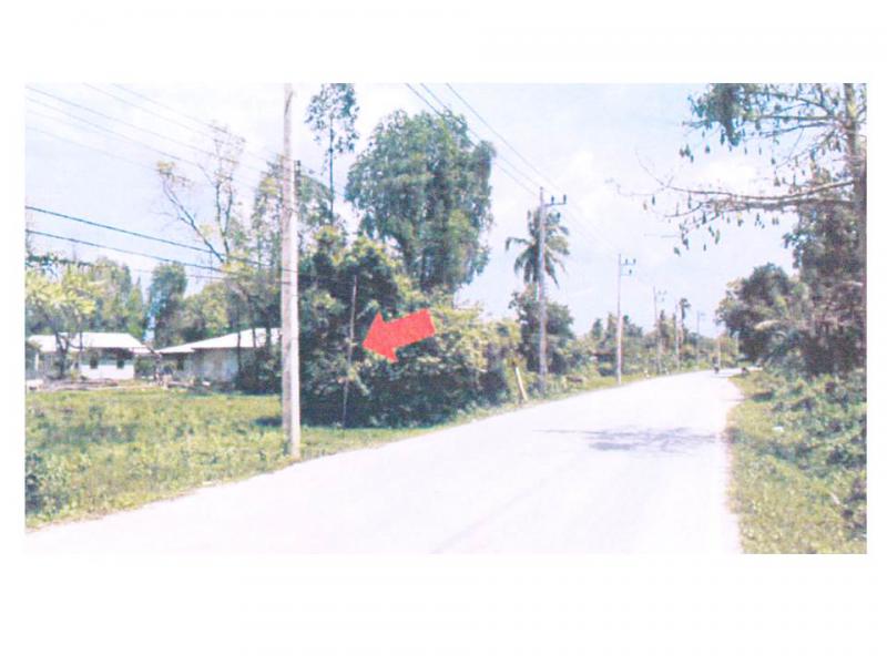 ที่ดินหลุดจำนอง ธ.ธนาคารออมสิน ปัตตานี หนองจิก บ่อทอง