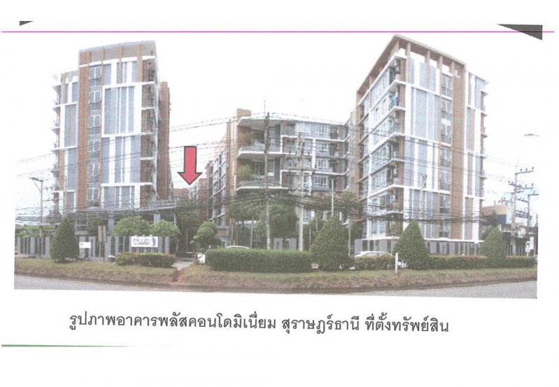คอนโด/อาคารชุด/ห้องชุดหลุดจำนอง ธ.ธนาคารออมสิน สุราษฎร์ธานี เมืองสุราษฎร์ธานี มะขามเตี้ย