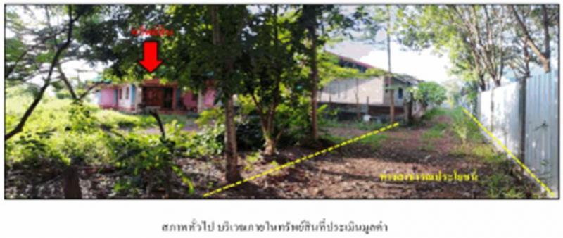 ที่ดินพร้อมสิ่งปลูกสร้างหลุดจำนอง ธ.ธนาคารออมสิน สกลนคร บ้านม่วง ดงหม้อทอง