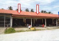 อาคารพาณิชย์หลุดจำนอง ธ.ธนาคารอาคารสงเคราะห์ นราธิวาส บาเจาะ บาเระเหนือ