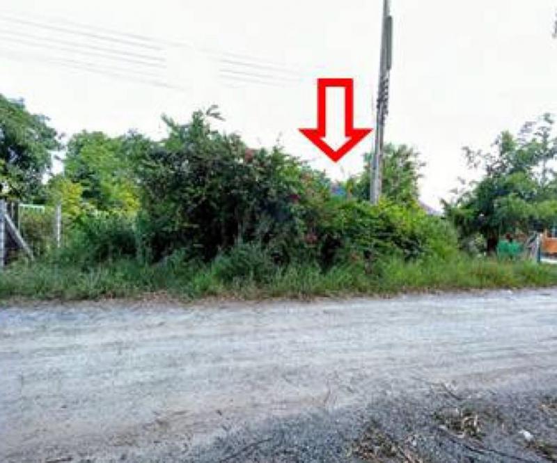 บ้านเดี่ยวหลุดจำนอง ธ.ธนาคารอาคารสงเคราะห์ ชลบุรี พานทอง หนองหงษ์