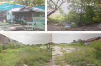 บ้านเดี่ยวหลุดจำนอง ธ.ธนาคารอาคารสงเคราะห์ กรุงเทพมหานคร บางเขน สายไหม