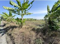 ที่ดินว่างเปล่าหลุดจำนอง ธ.ธนาคารกสิกรไทย สุพรรณบุรี อู่ทอง หนองโอ่ง