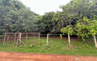 ที่ดินว่างเปล่าหลุดจำนอง ธ.ธนาคารกสิกรไทย สกลนคร เมืองสกลนคร พังขว้าง