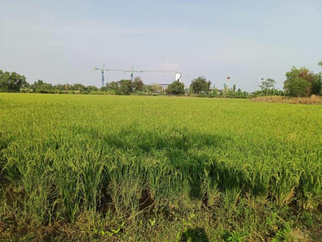 ที่ดินว่างเปล่าหลุดจำนอง ธ.ธนาคารกสิกรไทย พระนครศรีอยุธยา บางไทร เชียงรากน้อย