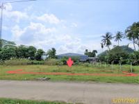 ที่ดินว่างเปล่าหลุดจำนอง ธ.ธนาคารกสิกรไทย นครศรีธรรมราช ทุ่งสง ชะมาย