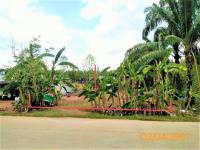 ที่ดินว่างเปล่าหลุดจำนอง ธ.ธนาคารกสิกรไทย กระบี่ เขาพนม เขาพนม