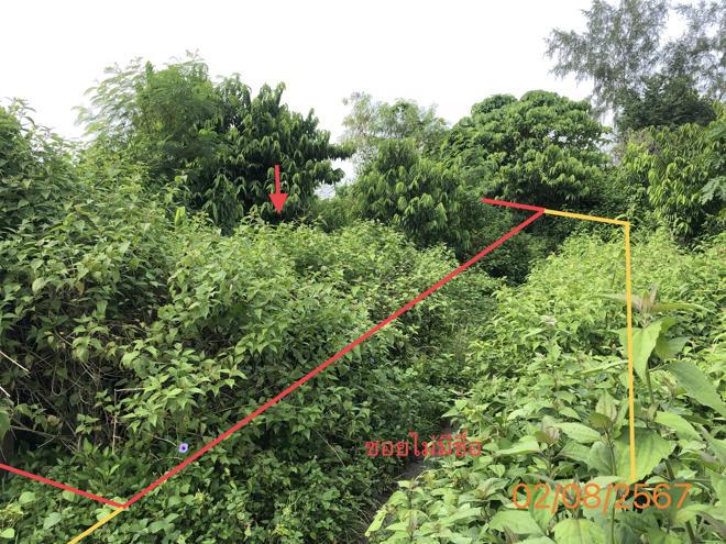 ที่ดินว่างเปล่าหลุดจำนอง ธ.ธนาคารกสิกรไทย กระบี่ เมืองกระบี่ คลองประสงค์