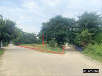 ที่ดินว่างเปล่าหลุดจำนอง ธ.ธนาคารกสิกรไทย พิษณุโลก บางระกำ บางระกำ