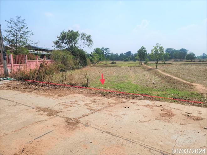 ที่ดินว่างเปล่าหลุดจำนอง ธ.ธนาคารกสิกรไทย ร้อยเอ็ด ปทุมรัตต์ บัวแดง