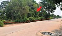 ที่ดินว่างเปล่าหลุดจำนอง ธ.ธนาคารกสิกรไทย บึงกาฬ เมืองบึงกาฬ บึงกาฬ
