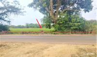 ที่ดินว่างเปล่าหลุดจำนอง ธ.ธนาคารกสิกรไทย สกลนคร พังโคน ไฮหย่อง