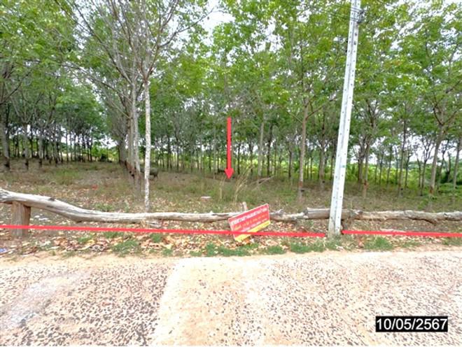 ที่ดินว่างเปล่าหลุดจำนอง ธ.ธนาคารกสิกรไทย อุบลราชธานี ตระการพืชผล คอนสาย