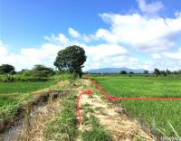 ที่ดินว่างเปล่าหลุดจำนอง ธ.ธนาคารกสิกรไทย เชียงราย แม่จัน จันจว้าใต้