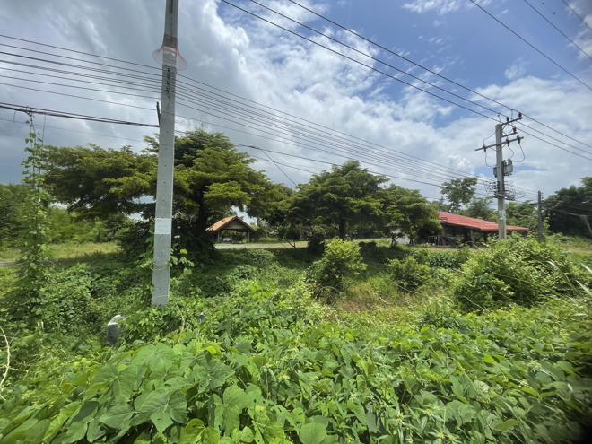 บ้านเดี่ยวหลุดจำนอง ธ.ธนาคารกสิกรไทย พิจิตร ตะพานหิน วังหลุม