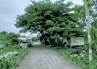 บ้านเดี่ยวหลุดจำนอง ธ.ธนาคารกสิกรไทย นครปฐม เมืองนครปฐม ห้วยจรเข้