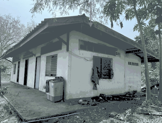บ้านเดี่ยวหลุดจำนอง ธ.ธนาคารกสิกรไทย ลพบุรี พัฒนานิคม หนองบัว