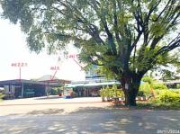บ้านเดี่ยวหลุดจำนอง ธ.ธนาคารกสิกรไทย นครราชสีมา โนนไทย ถนนโพธิ์