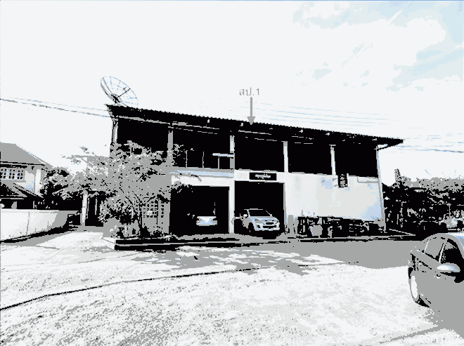 โกดังหลุดจำนอง ธ.ธนาคารกสิกรไทย เพชรบุรี เมืองเพชรบุรี ต้นมะม่วง