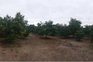 ที่ดินว่างเปล่าหลุดจำนอง ธ.ธนาคารไทยพาณิชย์ •ลำพูน •บ้านโฮ่ง •เหล่ายาว